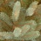 6.5 Ft. Unlit Feel Real® Norway Medium Artificial Christmas Tree